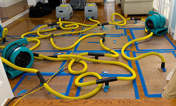 Professional Crawl Space Water Removal technician working in Lyons, KS